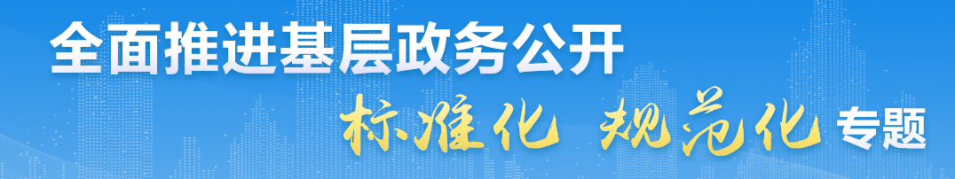 全面推進(jìn)基層政務(wù)公開 標(biāo)準(zhǔn)化規(guī)范化專題